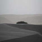 Dunas de Taton