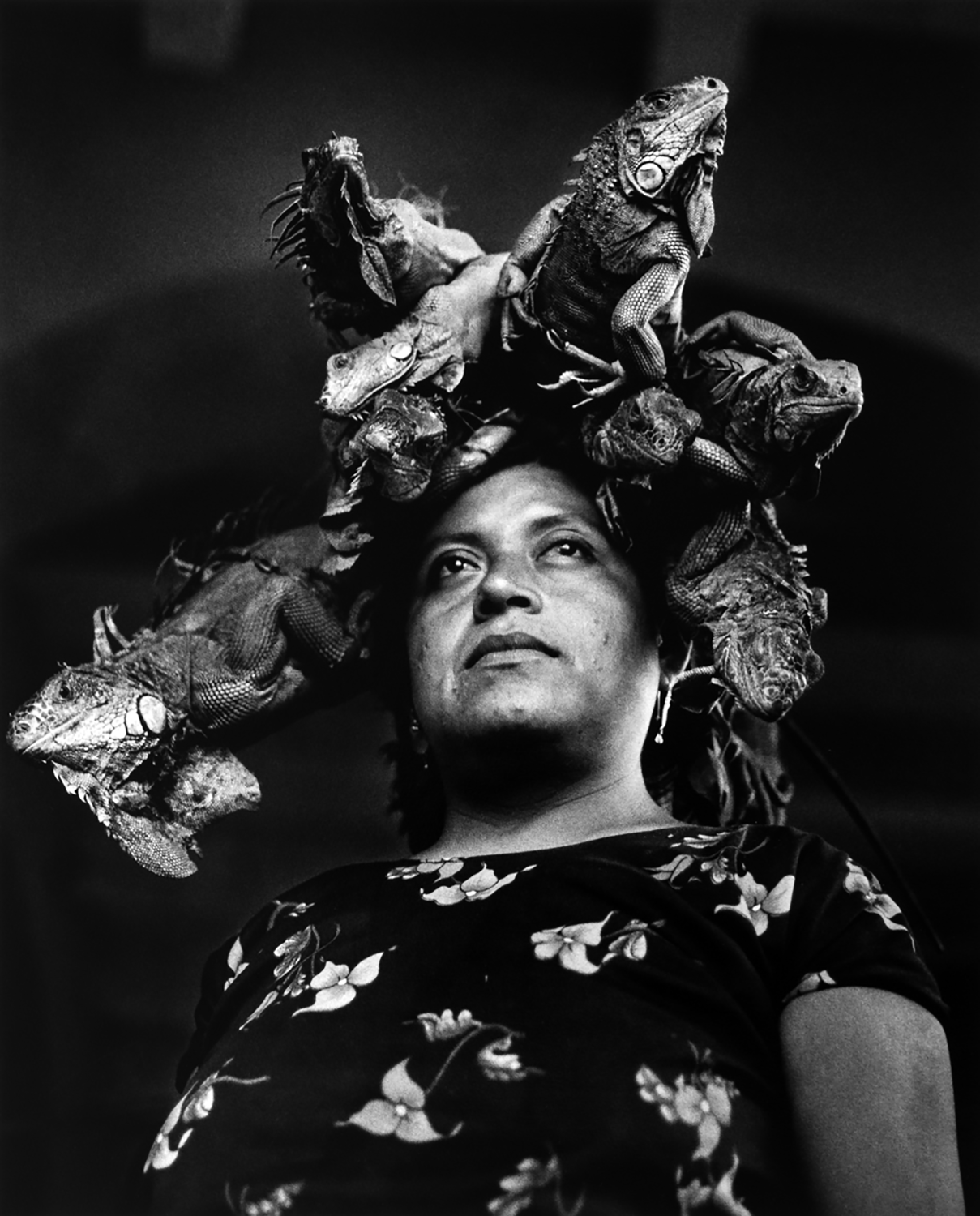 Nuestra señora de las iguanas, Juchitán, Oaxaca