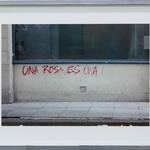 Una rosa, es una