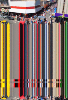 barrascolor