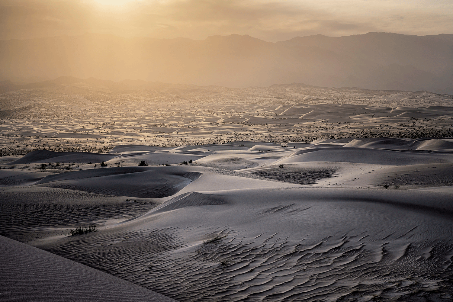 Desierto Escondido