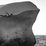 il Delfino