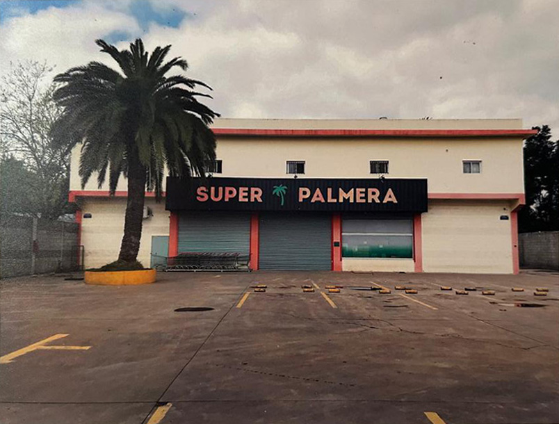 Super palmera